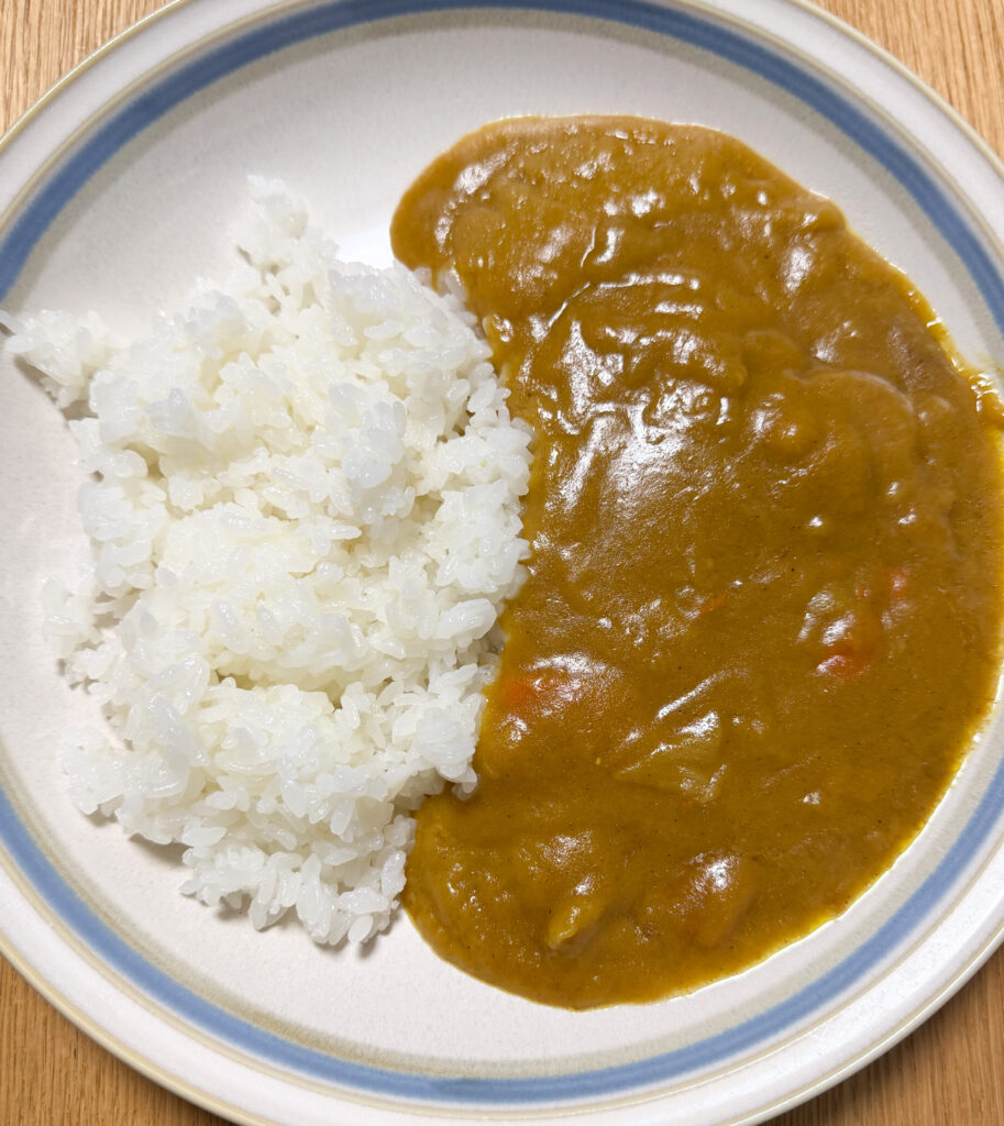 バスセンターのカレーと白米